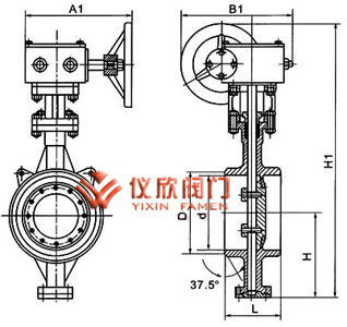 電動(dòng)對焊式硬密封蝶閥